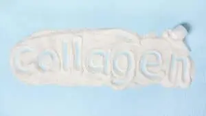 collagène en poudre